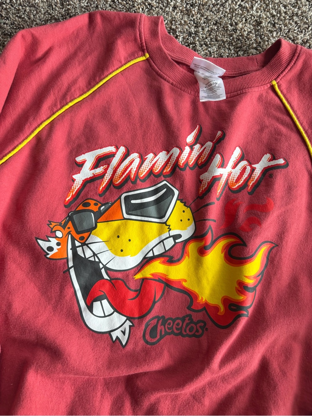 Flamin' Hot Graphic Crewneck Sweatshirt - Pink - Picture 2 of 5